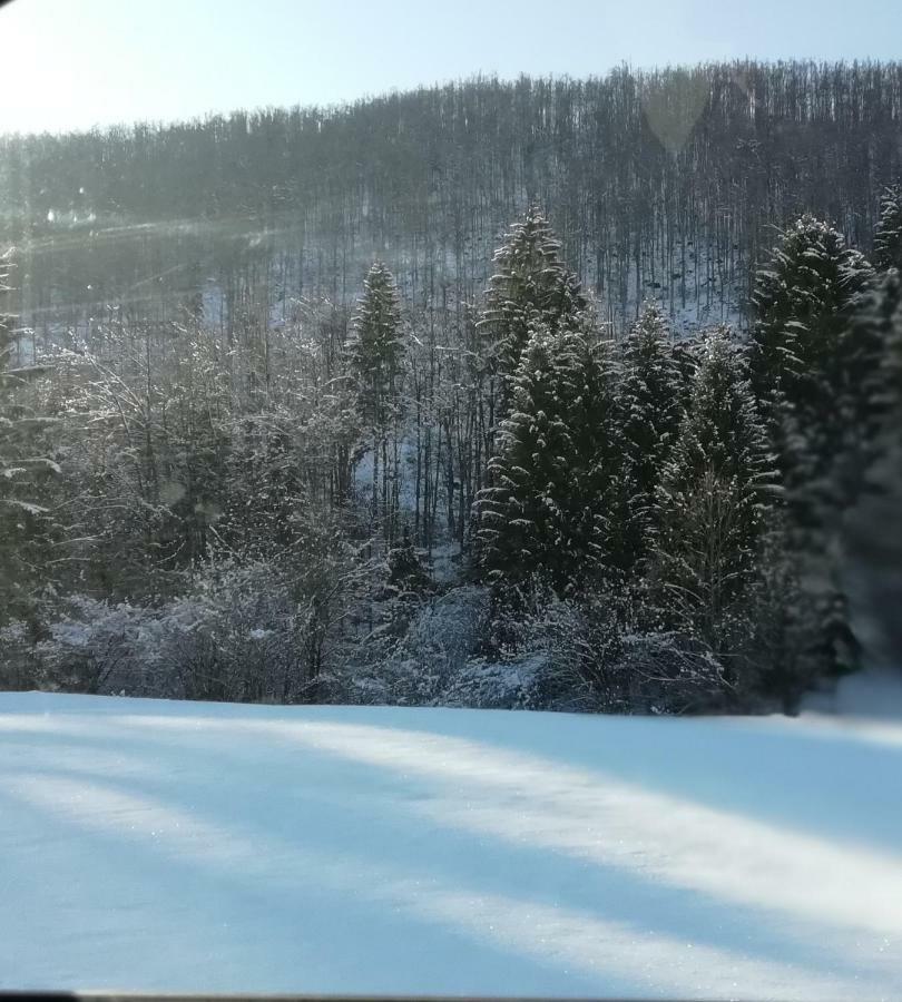 Vrata Pri Cepovanu Villa Exterior foto